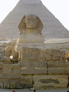 The Sphynx!