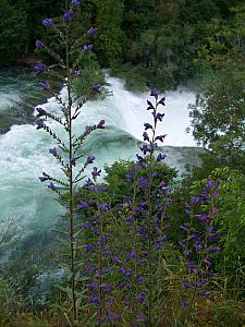 Krka