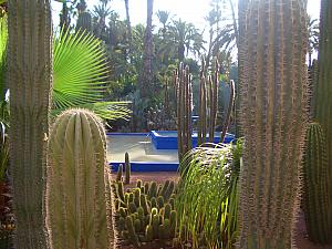 Jardin de Majorelle