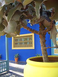 Jardin de Majorelle