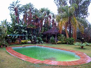 The pool and lush trees