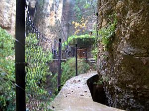 She said she felt like she was in Lost down here, with the shabby fencing and mysterious building