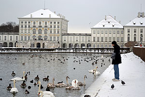 Jay and the ducks