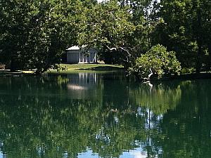 Visiting Spring Grove Cemetery in Northside