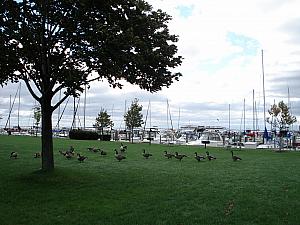 Lake St. Clair in Michigan