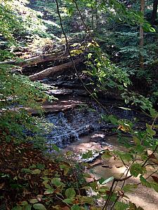 On Saturday, we drove halfway home to Cleveland, and stopped to visit Kelly's brother Kevin and his fiance Kyleen. On Sunday morning, we went for a short hike before heading home. On our hike.