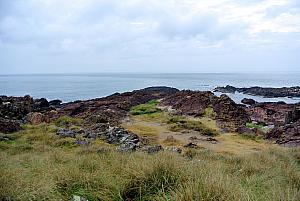 Punta del Esta - Punta Ballena