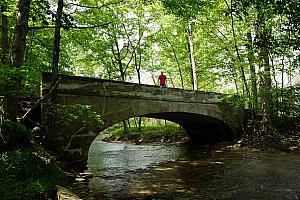 We spent a couple of hours creeking along this creek. Jay is standing on the bridge that crosses the creek at the entrance to the cabin property.