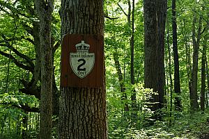 A Canadian highway sign posted on the driveway leading up to our cabin - maybe the owners are Canadian? (Or they picked it up at some antique store...)