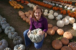 Some of the pumpkins were quite ugly.