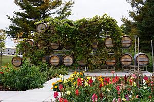 Stone's Throw Winery