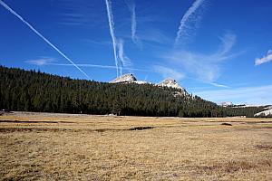 Tuolumne Meadows