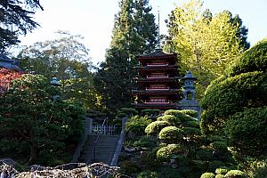 Visiting the Japanese Zen Garden inside Golden Gate Park. Recommendation to all visitors: don't spend $7 per person to go here. You'll struggle to spend 20 minutes here. It's pretty, but not worth the money.