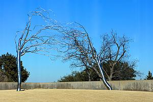 Modern Art Museum of Fort Worth