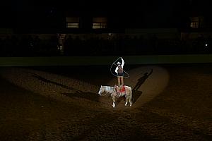 Fort Worth Rodeo and Stock Show