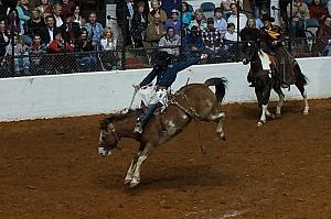 Fort Worth Rodeo and Stock Show