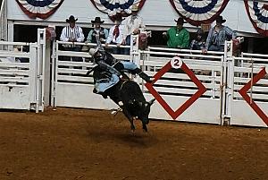 Fort Worth Rodeo and Stock Show