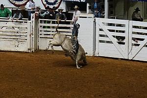 Fort Worth Rodeo and Stock Show