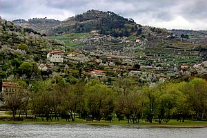 Beautiful scenery along the river