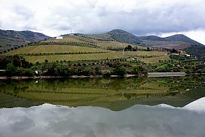 Crazy reflections in the water