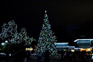 Cincinnati Zoo Festival of Lights