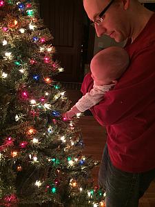 Capri exploring the Christmas tree lights