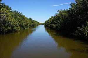 View from the boat.