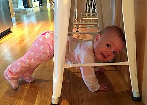 Capri getting herself stuck in the bar stools