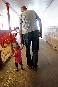 At Young's Dairy Farm in Yellow Springs