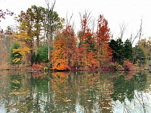 New day -- hiking at the Cincinnati Nature Center in Milford.