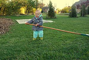 Capri helping mom and dad rake up leaves in the back yard