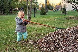 Just a little more raking to be done!