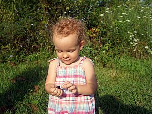 Eating blackberries off the vine!