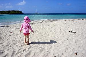 Capri walking in the sand.