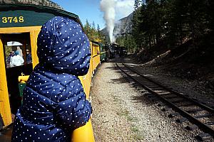 Capri checking out the train engine