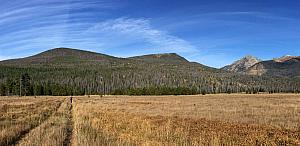 No Elk sightings -- we were not early enough (need to be here AT sunrise) -- but we heard plenty of them bugling in the forest.