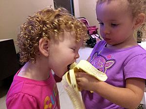 More food sharing -- this time a banana!