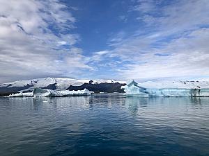 Icebergs that have recently dropped from glaciers and are slowly making their way to sea.